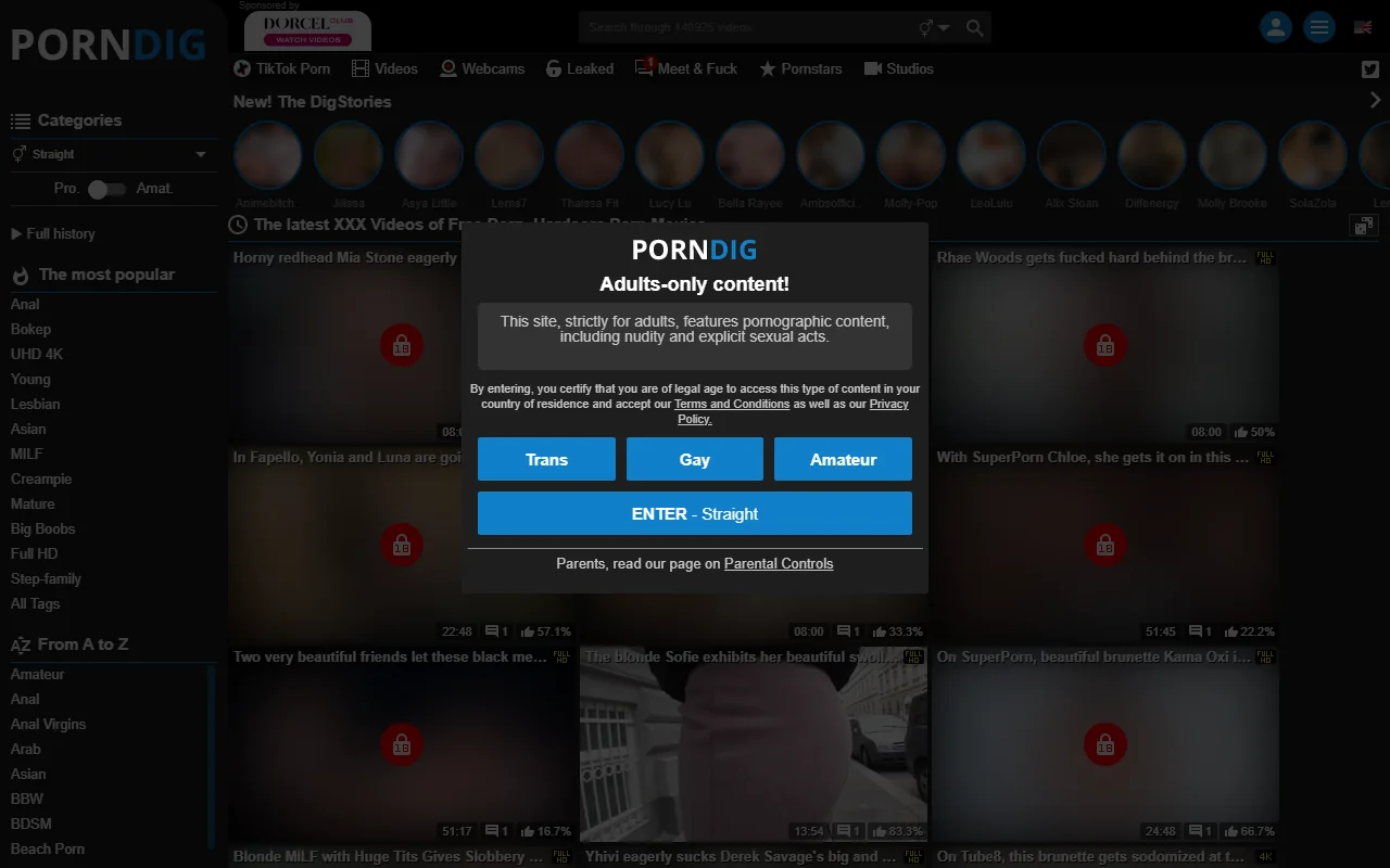 Screenshot of Porndig